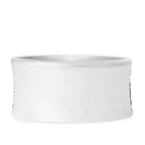 Silver Forge Class Ring